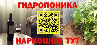 дмт Гусев