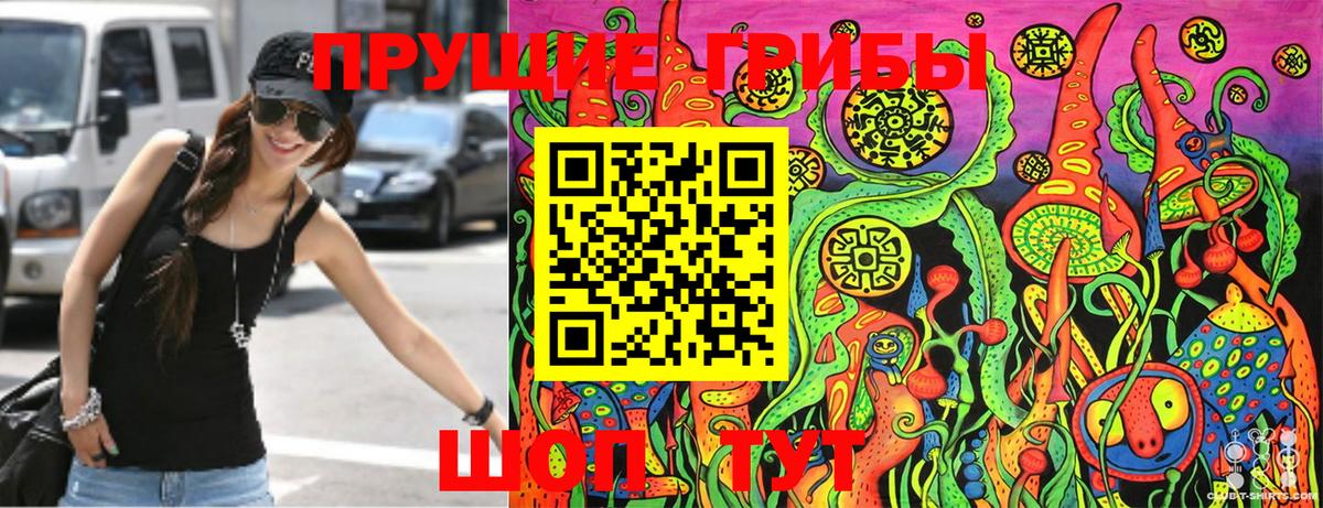 Псилоцибиновые грибы MAGIC MUSHROOMS  Вход с VPN  Каменка 